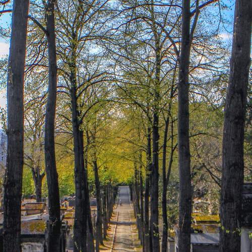 Photo #9712826