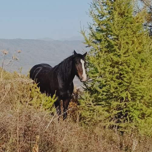Photo #9712931