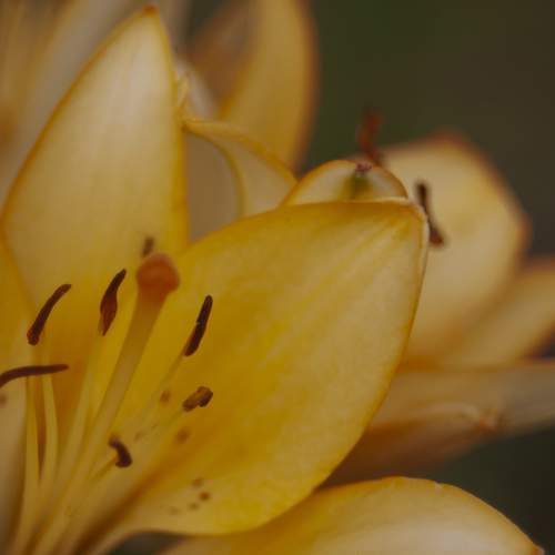 Photo #9713000