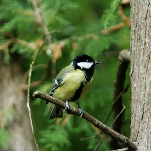 Фотография #9713044