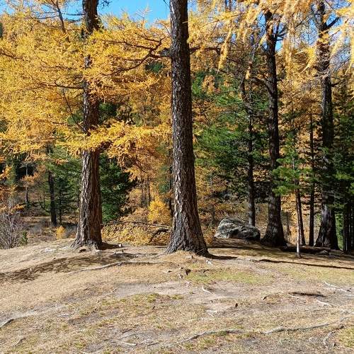 Photo #9713493