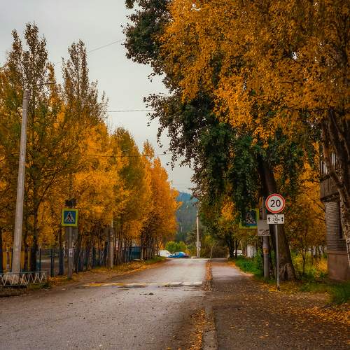 Photo #9713533