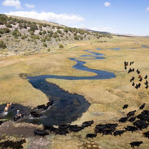 Фотография #9713672