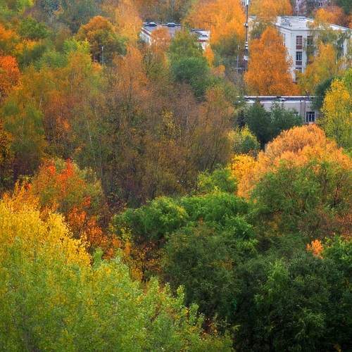 Photo #9713687
