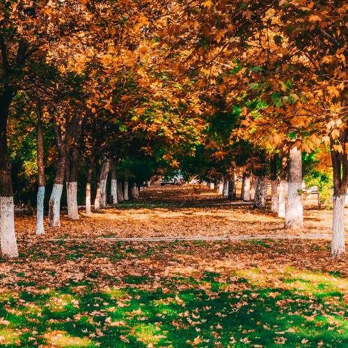 Photo #9713799