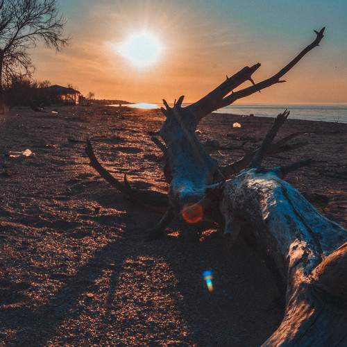 Photo #9713833
