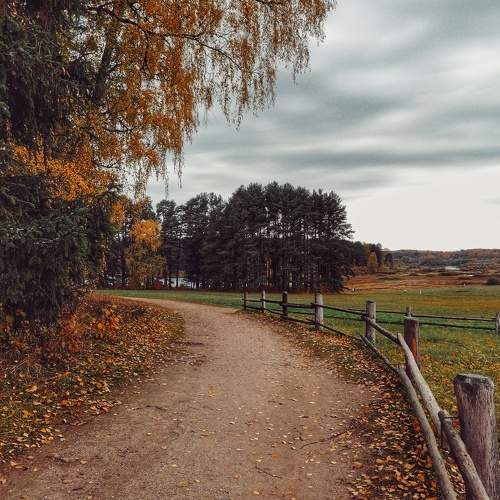 Photo #9713853