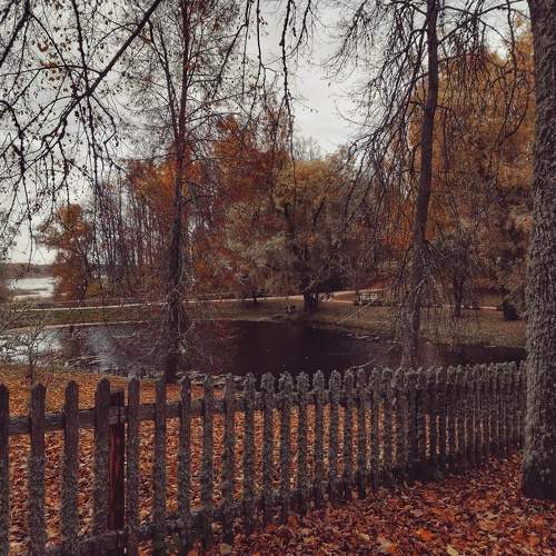 Photo #9713864