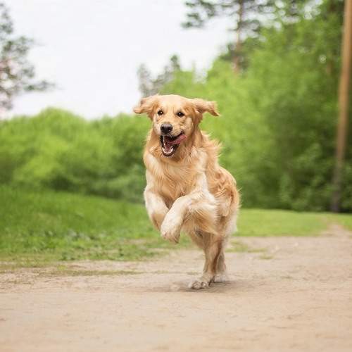 Photo #9713913
