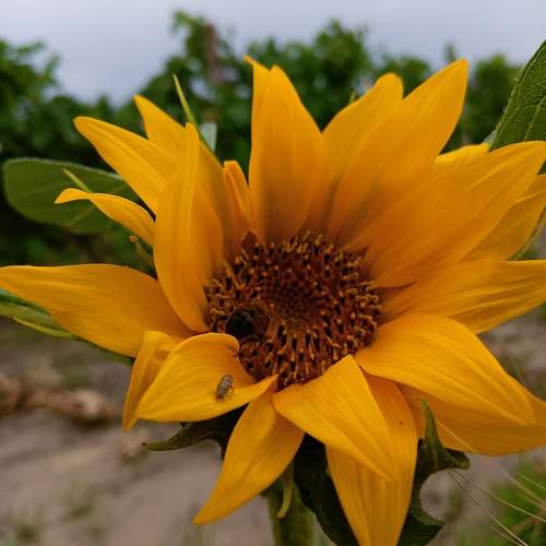 Photo #9714061
