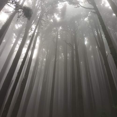 Photo #9714272
