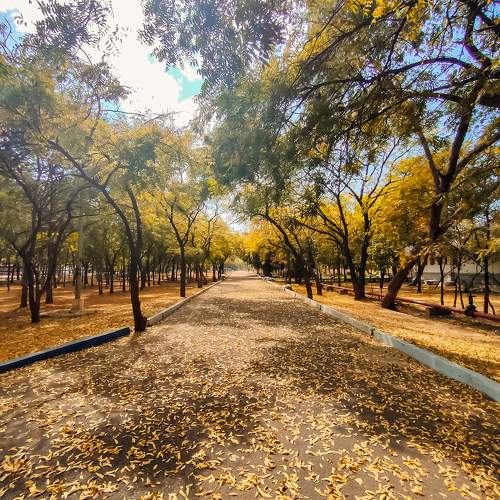Photo #9714282