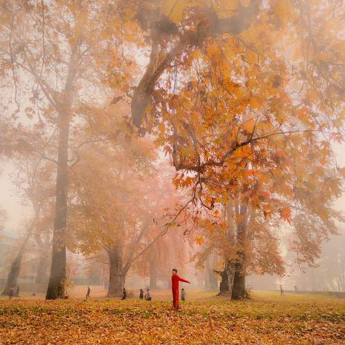 Photo #9714389