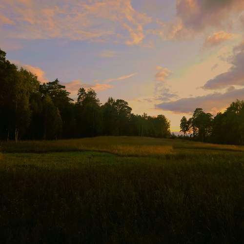 Photo #9714496