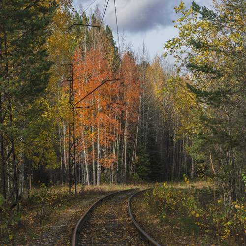 Photo #9714975