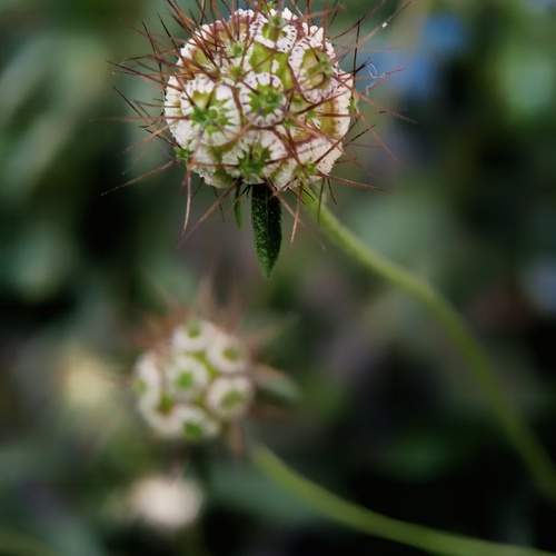Photo #9715001