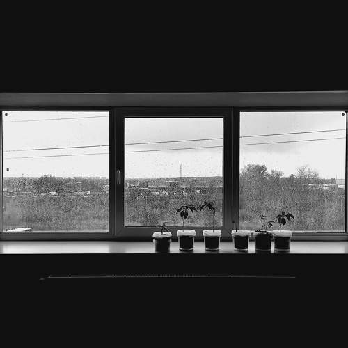 Window and rain