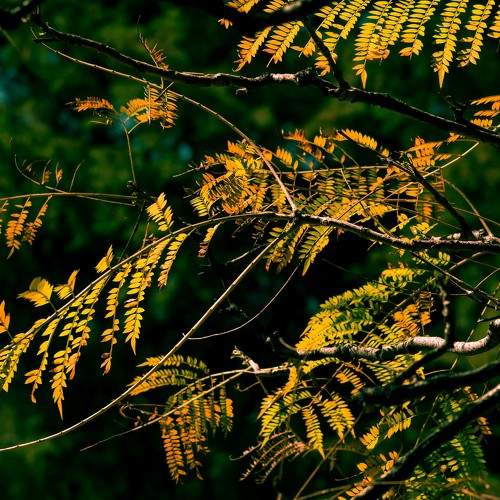 Photo #9715045