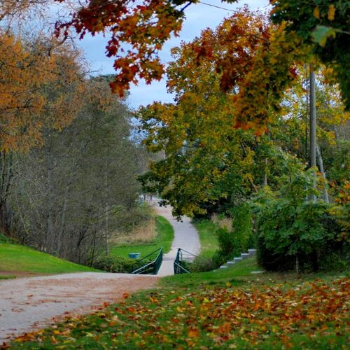 Photo #9715580