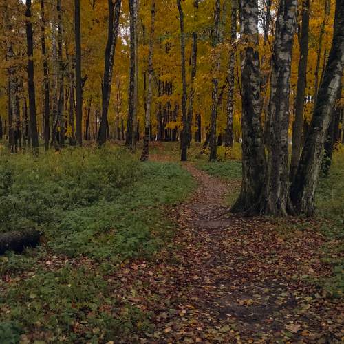 Photo #9715584