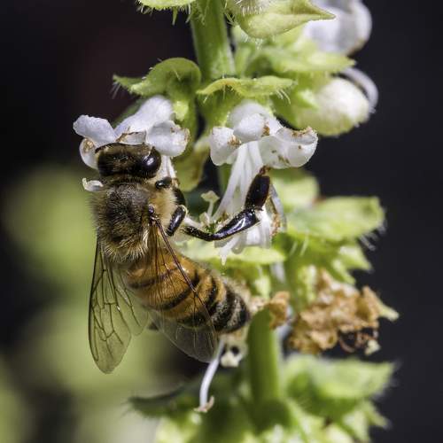 Photo #9715612