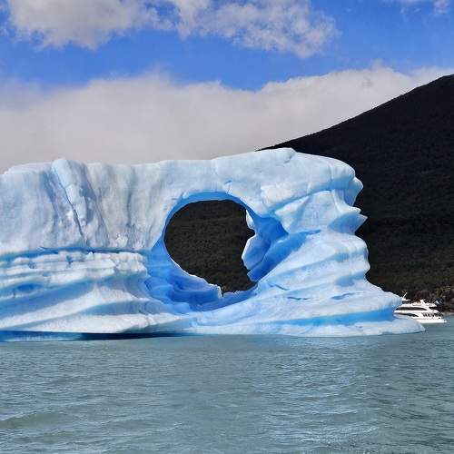 Photo #9715648
