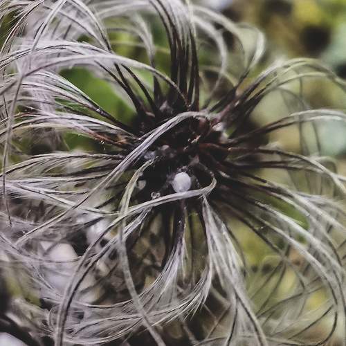 Photo #9715651