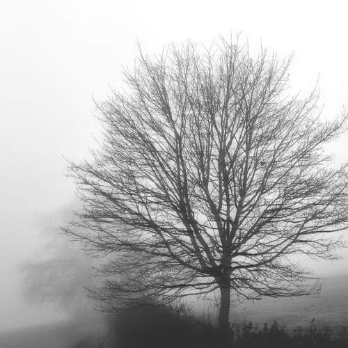 Photo #9715858