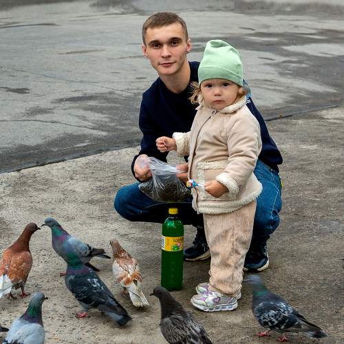Кормление голубей.