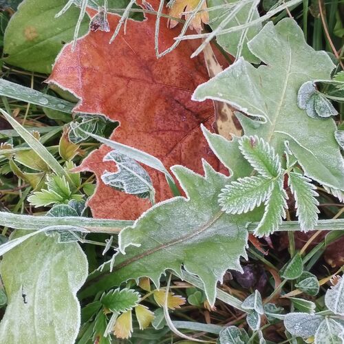 Photo #9716159