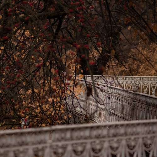 Photo #9716355