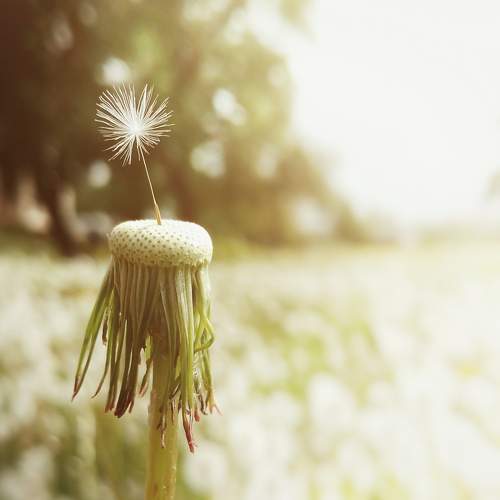 Photo #9716432