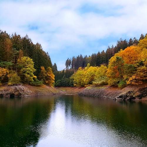 Photo #9716533