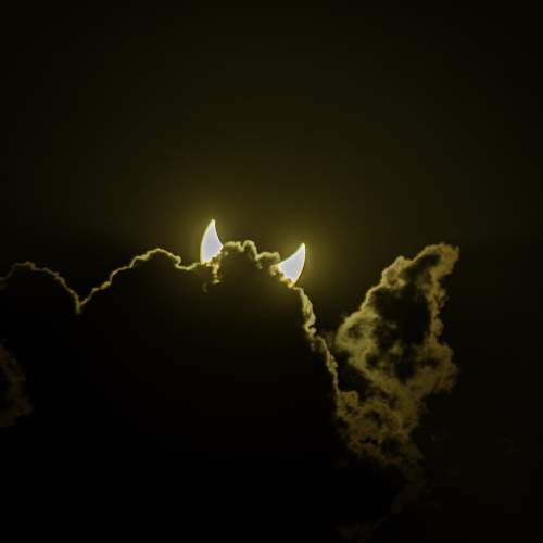 Photo #9716657