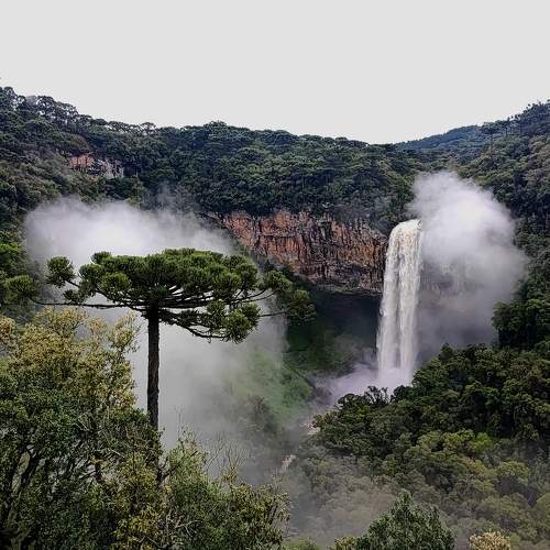 Photo #9716666
