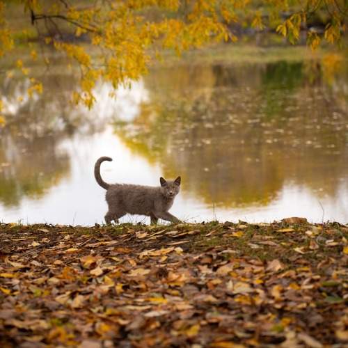 Photo #9716669