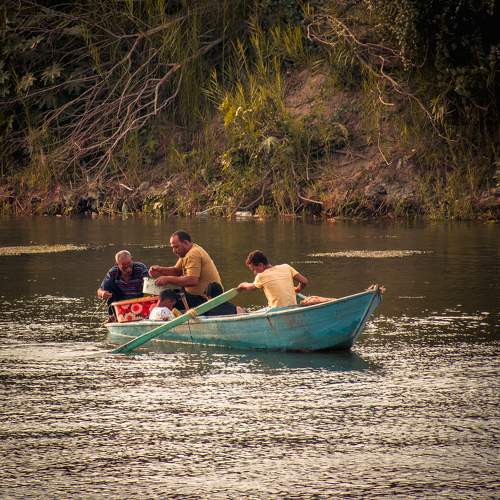 Photo #9716670