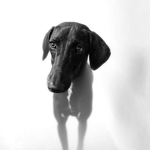 Photo #9716789