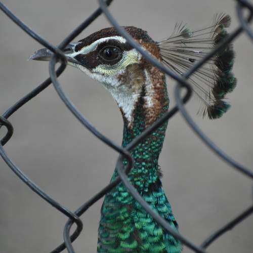 Photo #9716986