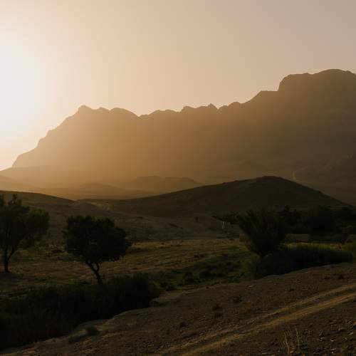 Photo #9717070
