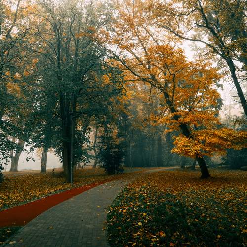 Photo #9717073