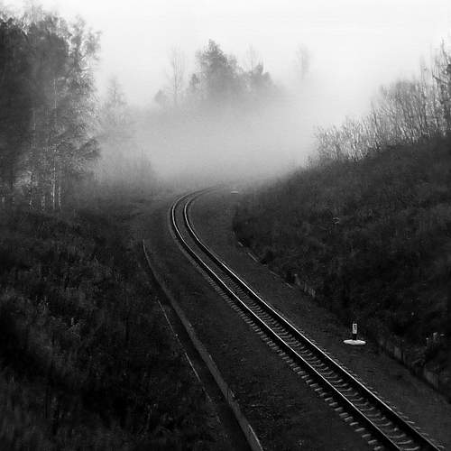 Photo #9717086