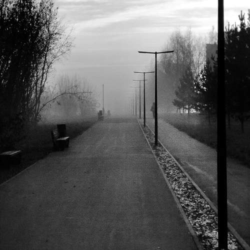 Photo #9717088