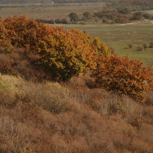 Photo #9717127