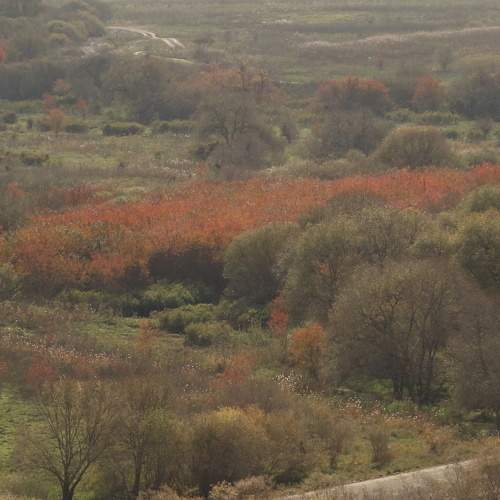 Photo #9717131