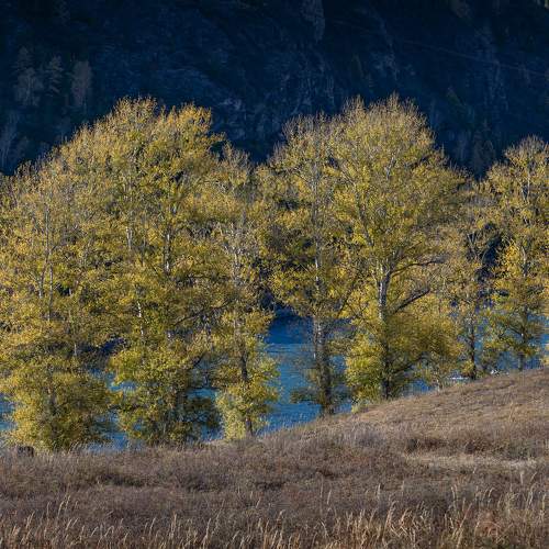 Photo #9717151