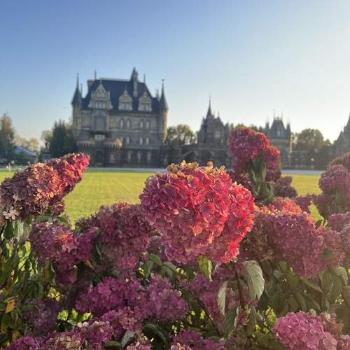 Photo #9717569