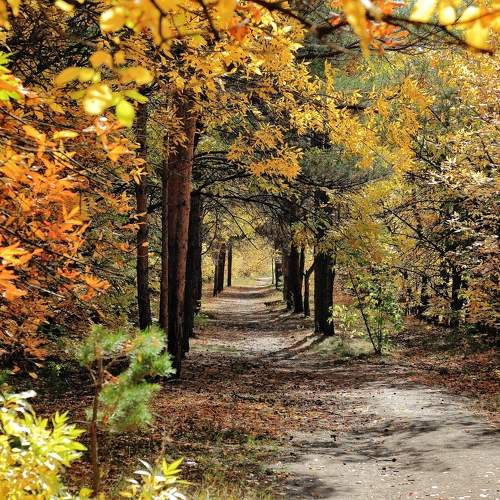 Photo #9717589