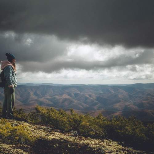 Photo #9717669
