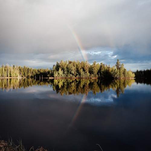 Photo #9717775